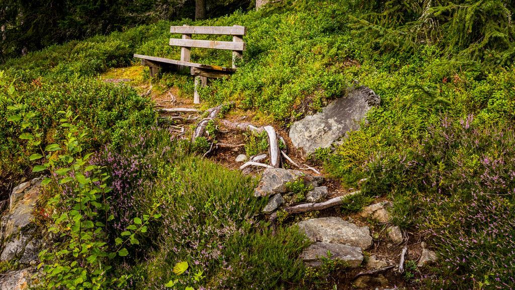 Hotel Pariente Schladming Dış mekan fotoğraf